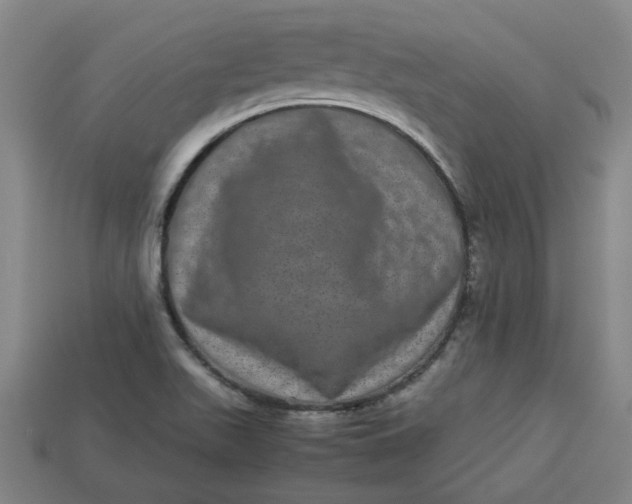 X0000113241511200910011315