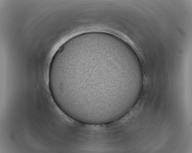 X0000113241512200910011315