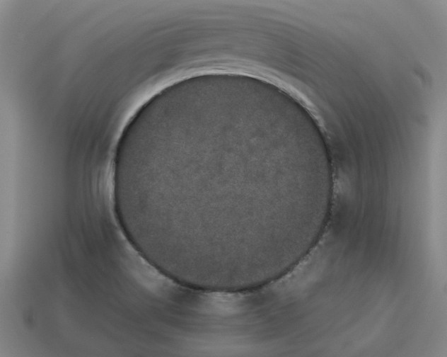 X0000113241514200910011315