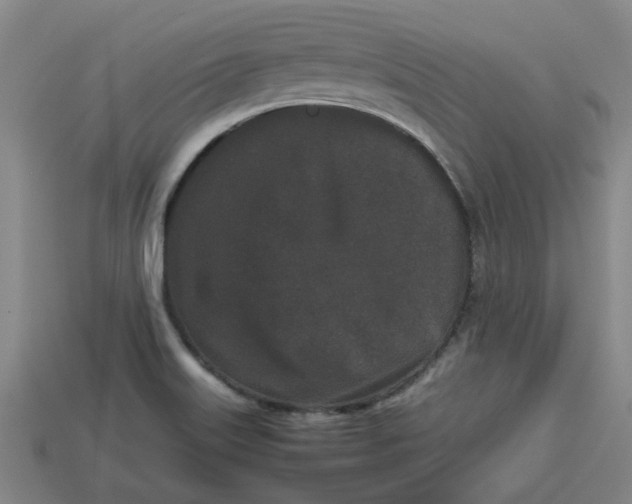 X0000113241515200910011315