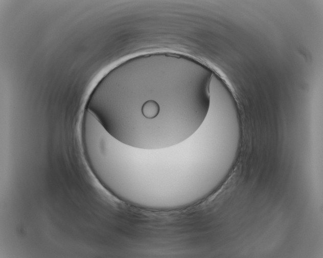 X0000113241516200910011316