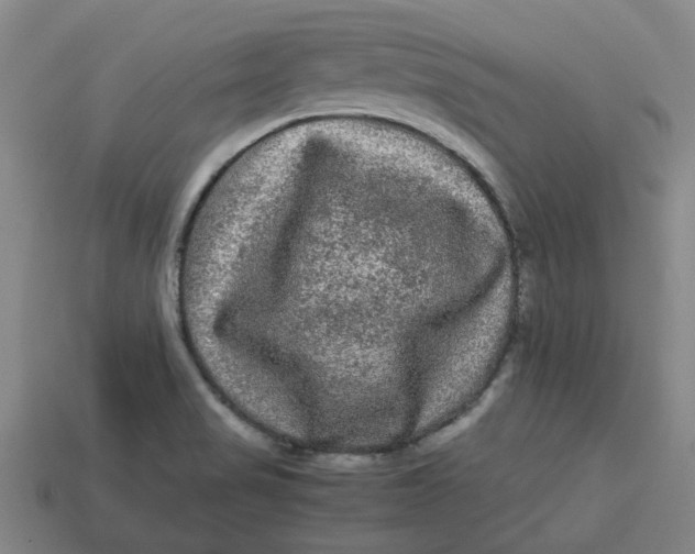 X0000113241517200910011316