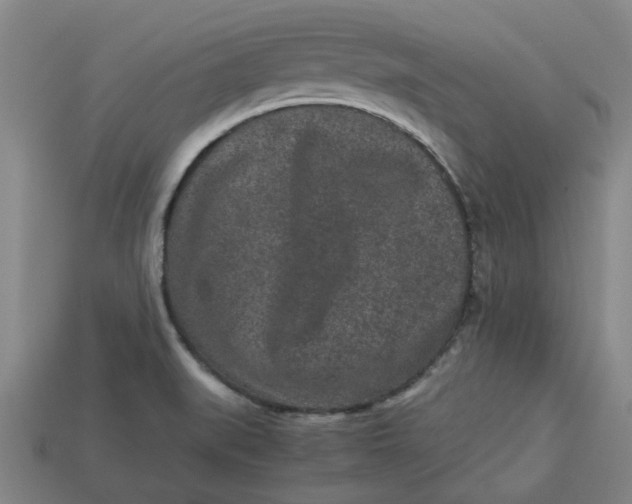 X0000113241519200910011316