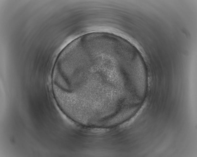 X0000113241521200910011316