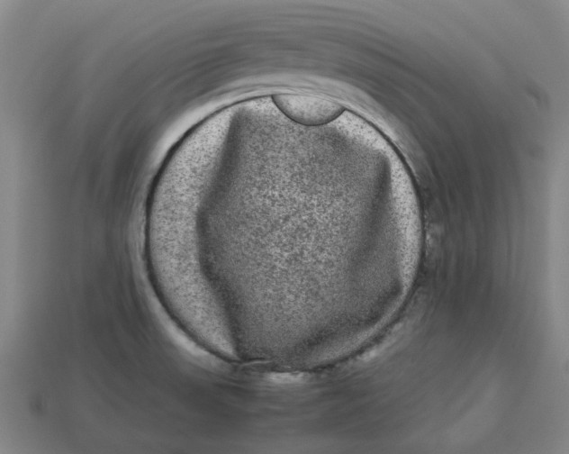 X0000113241523200910011316