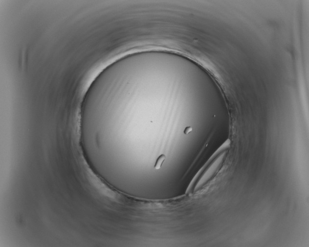 X0000113241524200910011316