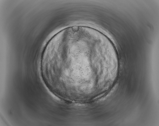 X0000113241525200910011316