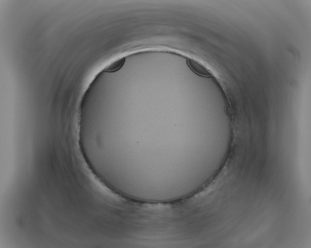 X0000113241526200910011316