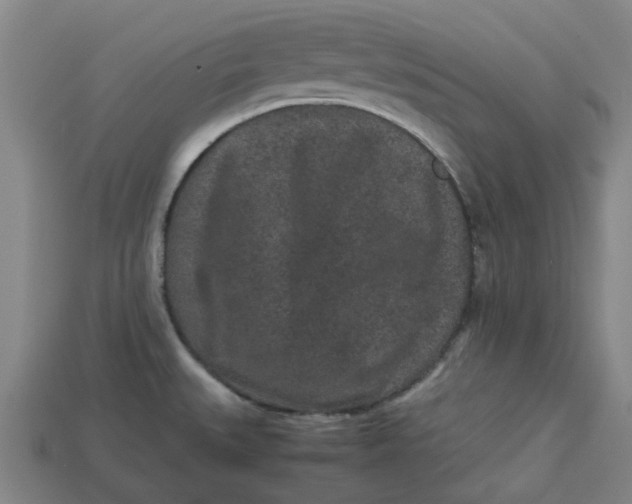 X0000113241527200910011316