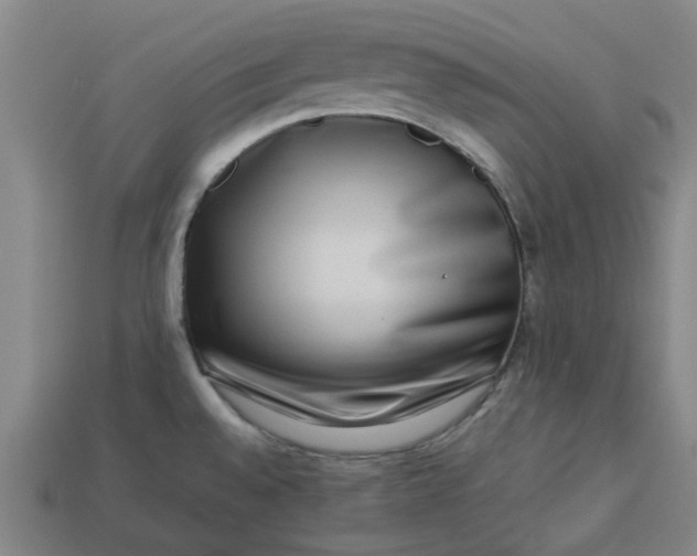 X0000113241528200910011316