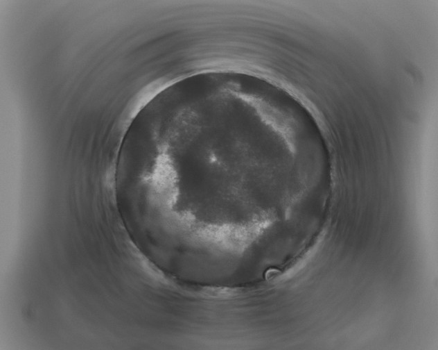 X0000113241529200910011316