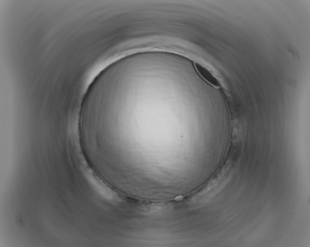 X0000113241530200910011316