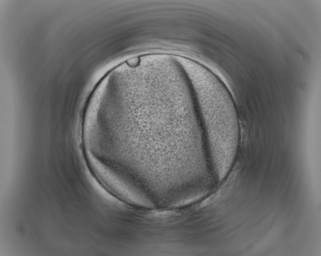 X0000113241531200910011316