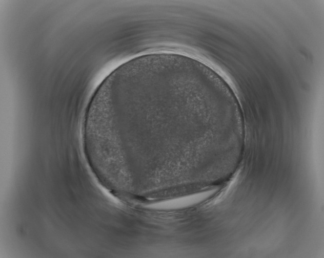 X0000113241533200910011316