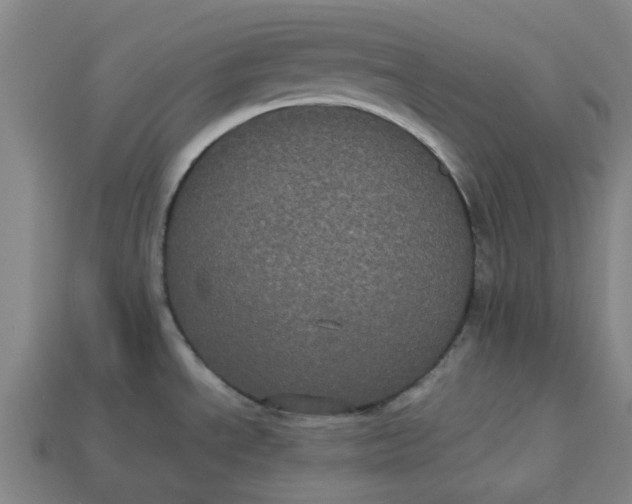 X0000113241534200910011316