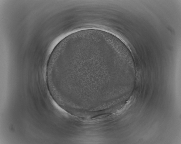 X0000113241535200910011316