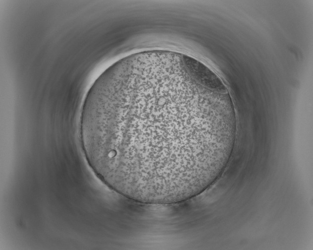 X0000113241536200910011316