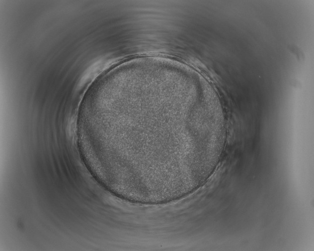 X0000113240002200910081307