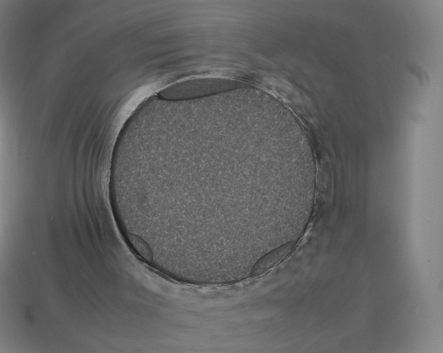 X0000113240003200910081307