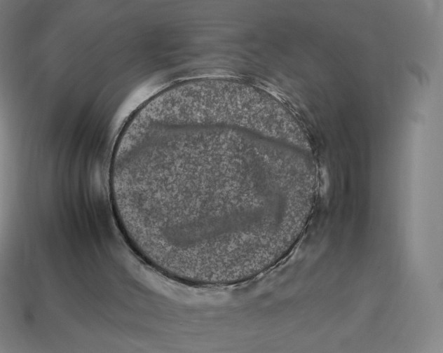 X0000113240004200910081307