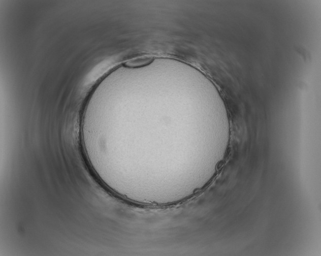 X0000113240005200910081307