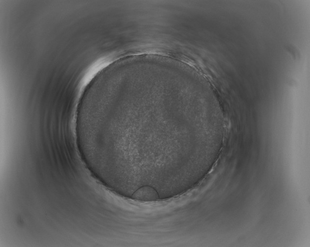 X0000113240006200910081307