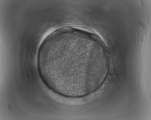 X0000113240008200910081307