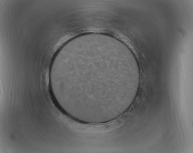 X0000113240011200910081307
