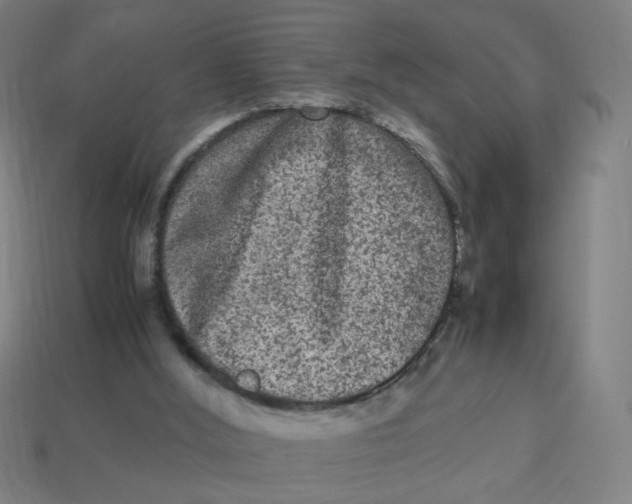 X0000113240012200910081307