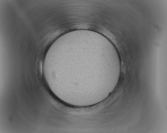 X0000113240013200910081307