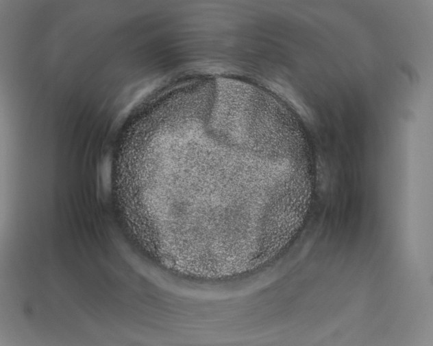 X0000113240014200910081307