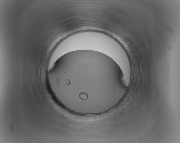 X0000113240015200910081307