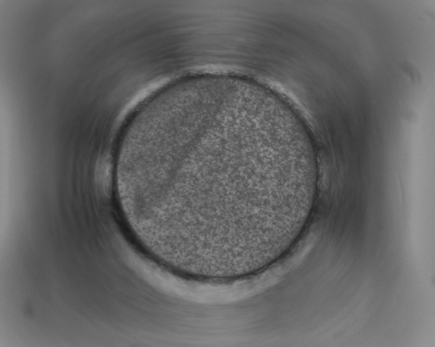 X0000113240016200910081307