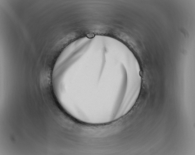 X0000113240017200910081307