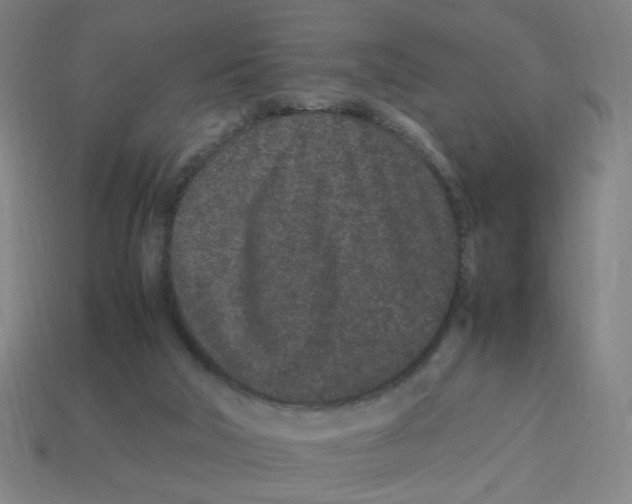 X0000113240018200910081307