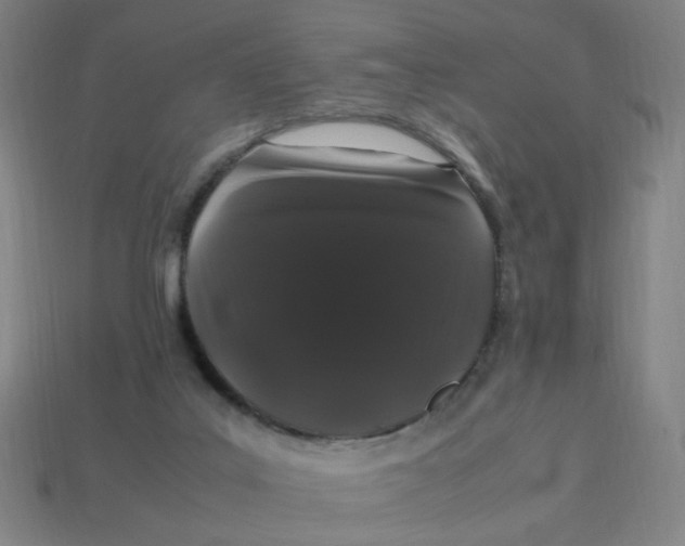 X0000113240019200910081307