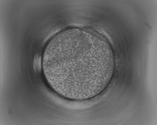 X0000113240020200910081307