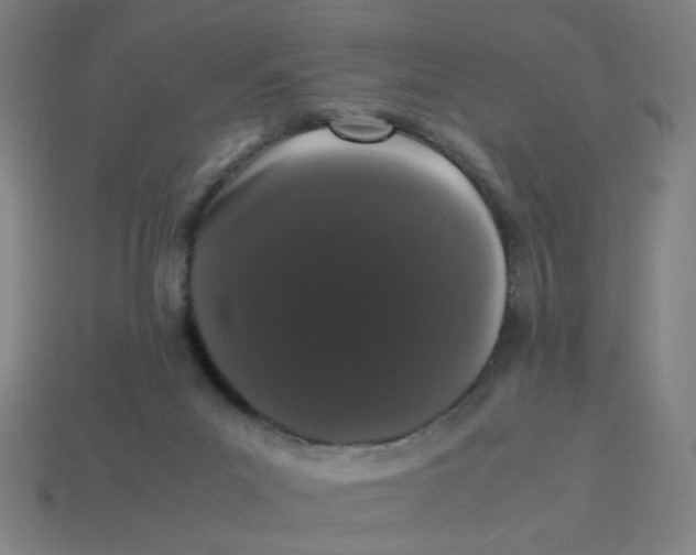 X0000113240023200910081307