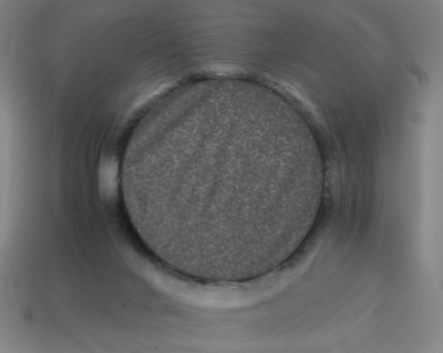 X0000113240024200910081307