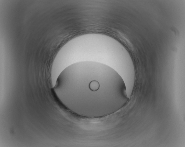 X0000113240025200910081307