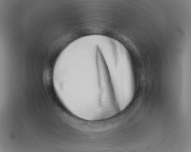 X0000113240026200910081307