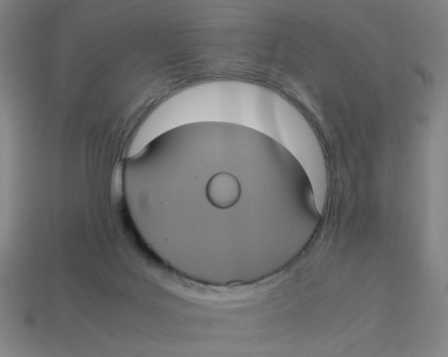 X0000113240027200910081307