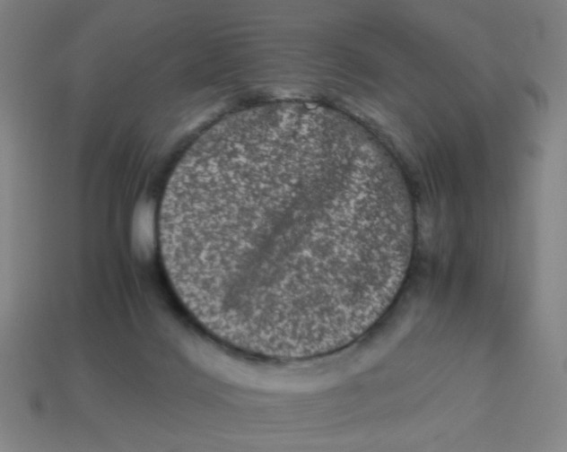 X0000113240028200910081307