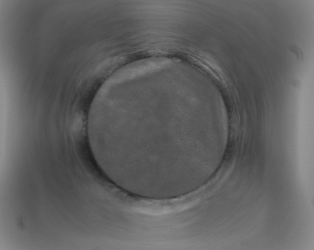 X0000113240029200910081307