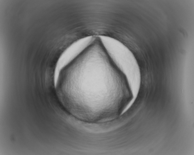 X0000113240030200910081307
