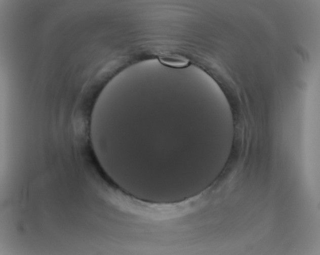 X0000113240031200910081307
