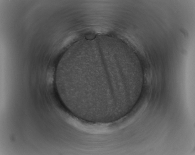 X0000113240032200910081307