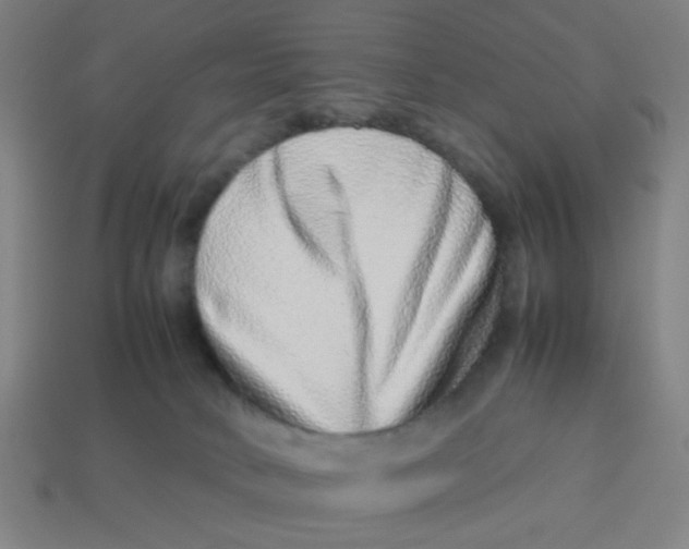 X0000113240034200910081307