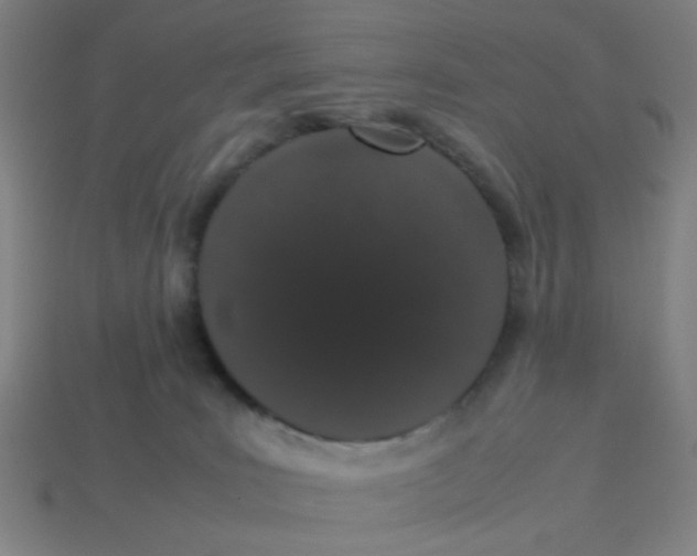 X0000113240035200910081307
