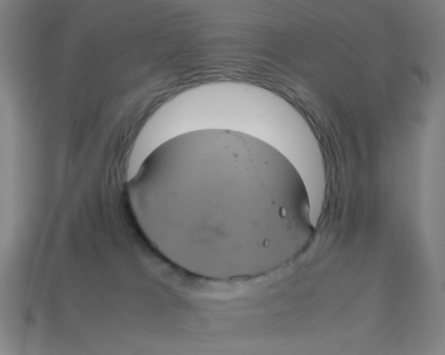 X0000113240037200910081307